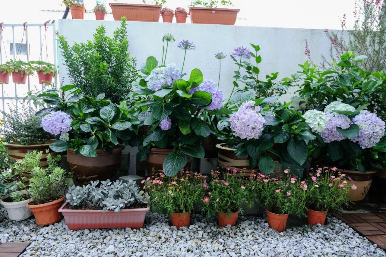 Comfy Sofy 21- Backyard Garden- Night Market Area Cameron Highlands Buitenkant foto
